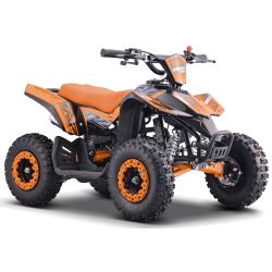 Children's Pocket Quad -...
