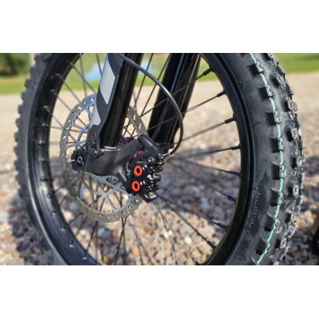 Moto homologuée TALARIA  STING - TL4000 - Édition limitée