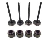 Kit soupapes + joints de queue de soupapes - Zongshen - 450cc