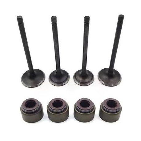 Kit valvole + paraoli stelo valvola - Zongshen - 450cc
