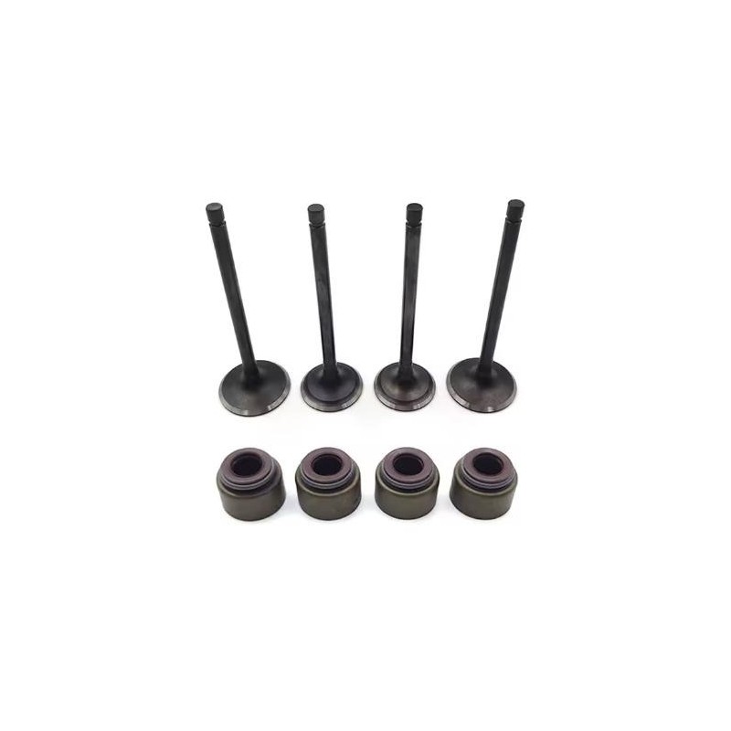 Kit soupapes + joints de queue de soupapes - Zongshen - 450cc