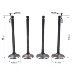 Kit soupapes + joints de queue de soupapes - Zongshen - 450cc