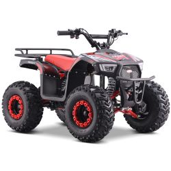 ATV electric CRZ Traxy -...