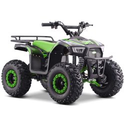 Elektrisches Quad CRZ Traxy...