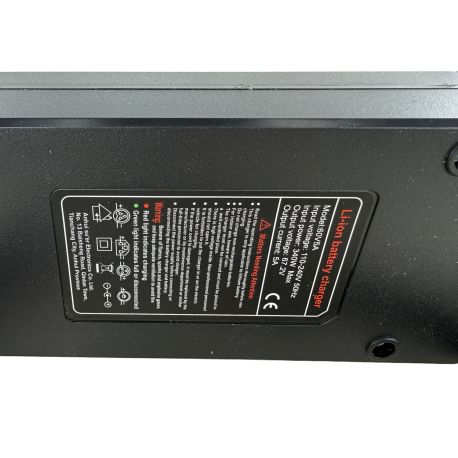 Caricabatterie 60V 5A - IRON 5000W