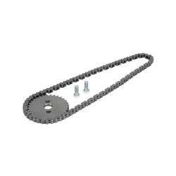 Piñón + cadena de...