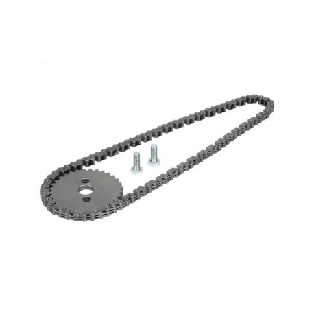 Pignon + chaine distribution - YX - 140cc/149cc