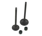 Kit soupapes admission/échappement - 250/300cc - 30/25mm