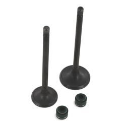 Intake/exhaust valve kit -...