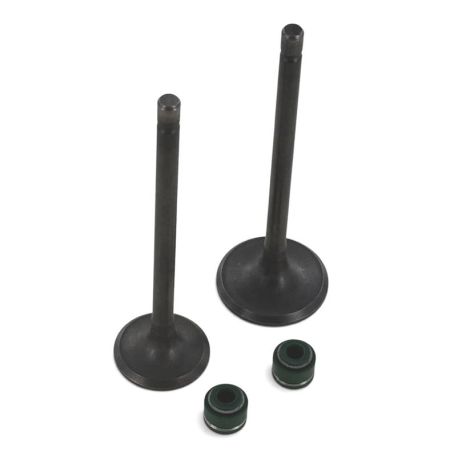 Kit soupapes admission/échappement - 250/300cc - 30/25mm