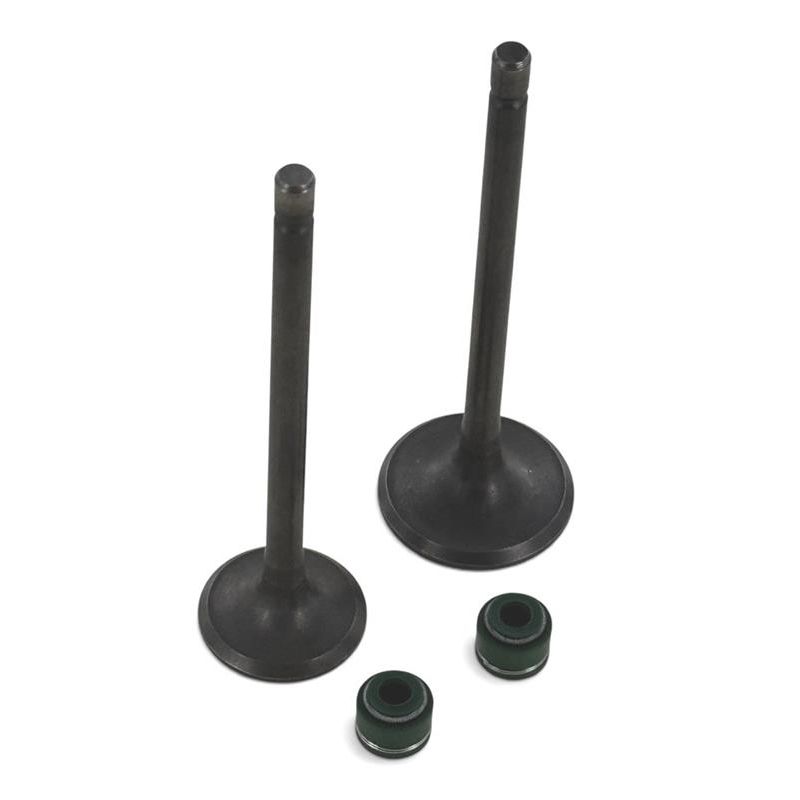 Kit valvole di aspirazione/scarico - 250/300cc - 30/25mm