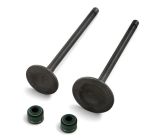 Kit valvole di aspirazione/scarico - 250/300cc - 30/25mm