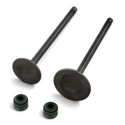 Kit valvole di aspirazione/scarico - 250/300cc - 30/25mm