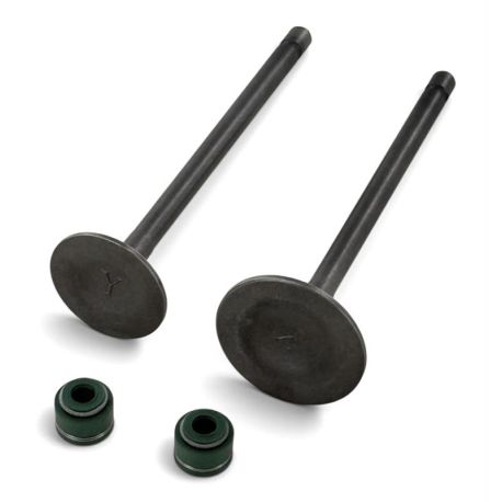 Kit soupapes admission/échappement - 250/300cc - 30/25mm