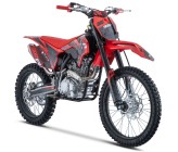 Motocross Mini MX BIG R 300cc - 18"/21" - Rojo