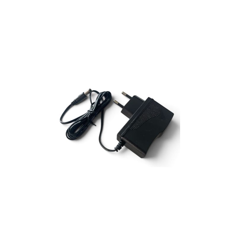 CRZ Foxy 12V 250W Ladegerät