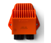 CDI 2 pin - ERZ 250cc 2 Tempi