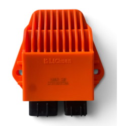 CDI 2 pin - ERZ 250cc 2 Tempi