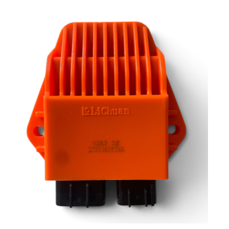 2-Pin CDI - ERZ 250cc 2-Stroke