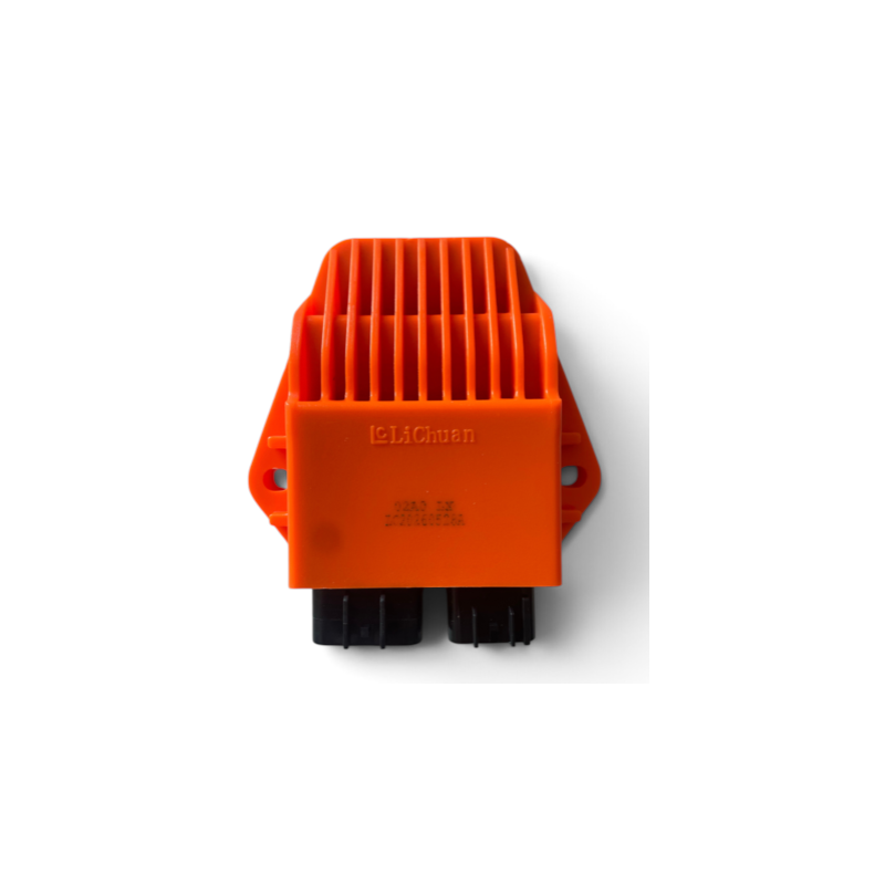 2-Pin CDI - ERZ 250cc 2-Stroke