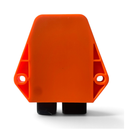 2-Pin CDI - ERZ 250cc 2-Stroke