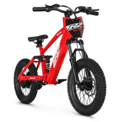 Bicicleta sin pedales...
