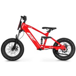 Elektrisches Laufrad CRZ EX-16" 36V 500W 7,8Ah - Orange
