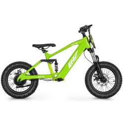 Draisiana elétrica CRZ EX-16" 36V 350W 5,2Ah - Verde