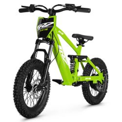 Elektrisches Laufrad CRZ EX-16" 36V 350W 5,2Ah - Orange