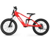 Elektrisches Laufrad CRZ EX-R 20" 750W 36V 7,8Ah - Rot