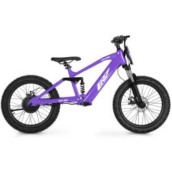 Draisienne électrique CRZ EX-R 20" 750w 36V 7,8Ah - Rose