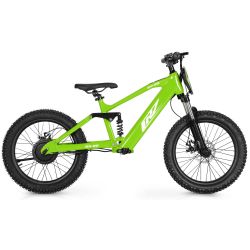 Draisiana elétrica CRZ EX-R 20" 750w 36V 7,8Ah - Verde
