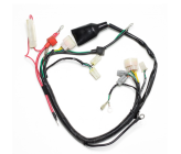 ERZ 300cc EFI Elektrischer Kabelbaum