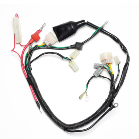 Chicote Elétrico ERZ 300cc EFI