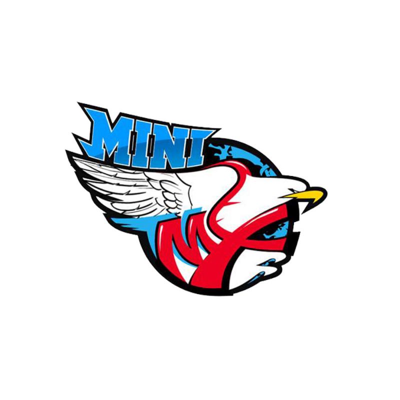 Front Fork Rockstar Stickers X2