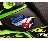 Front Fork Rockstar Stickers X2