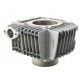 Cylindre Origine DAYTONA ANIMA 150 / 190CC (4 Soupapes)