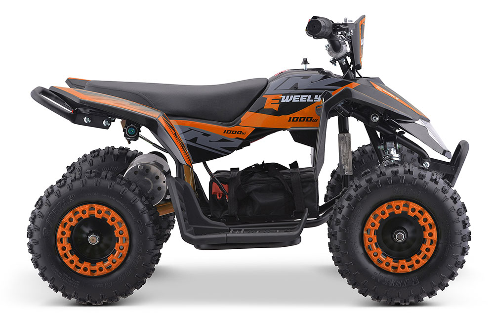 Motore 36V 1000W Elettrico - Batteria 14Ah
