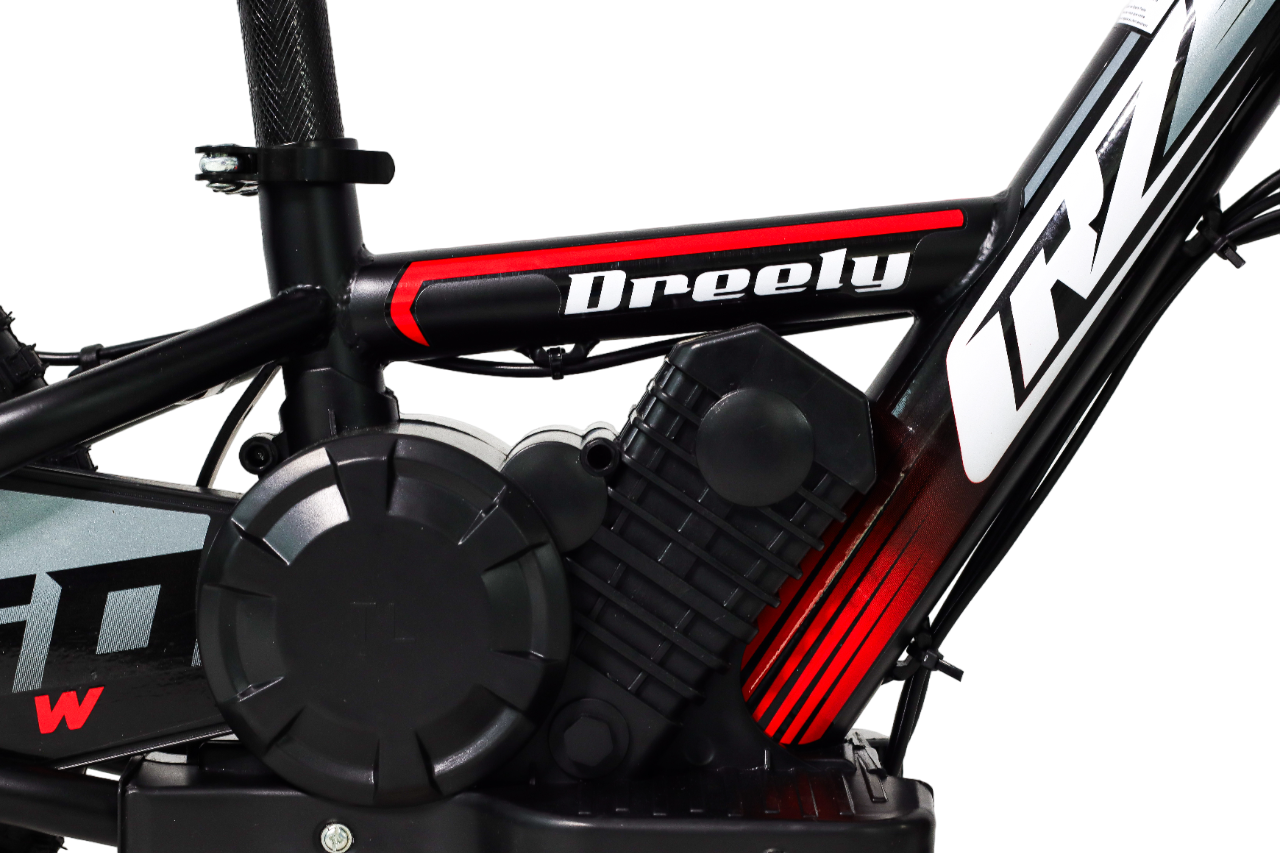 Motore di 24V 100 Watts - 4 km/h, 6.5 km/h, 13 km/h