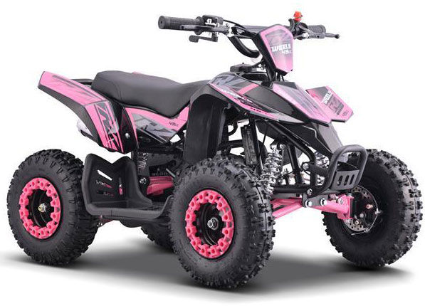 Roue arrière et avant 6 Pouces