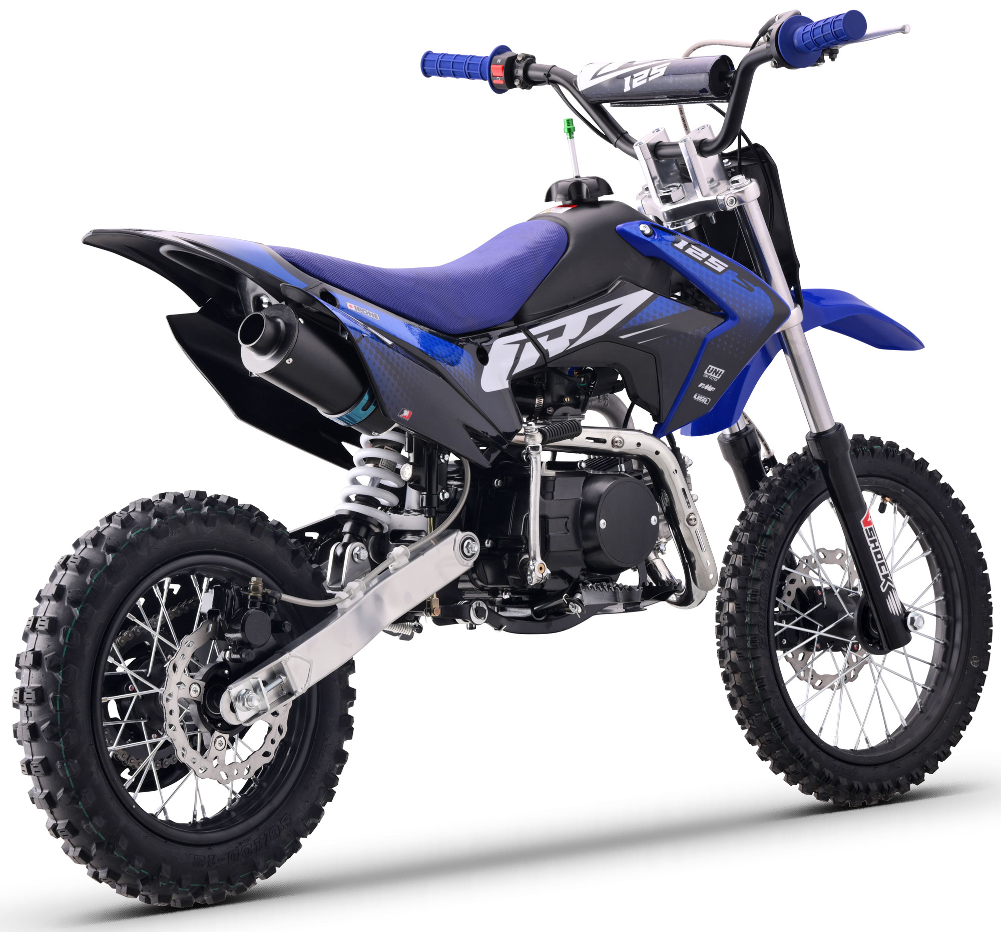 Forcellone + Scarico Black Edition: