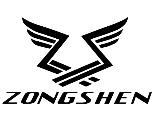 Motore 4T 150cc ZONGSHEN 15cv